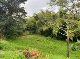  Land for sale in Pereira, Risaralda, Pereira