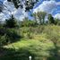  Land for sale in Campana, Buenos Aires, Campana