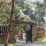  Land for sale in Tlalpan, Mexico City, Tlalpan
