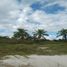  Grundstück zu verkaufen in Lazaro Cardenas, Quintana Roo, Lazaro Cardenas