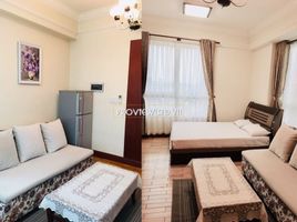 1 Bedroom Apartment for rent in Ward 22, Ho Chi Minh City, Ward 22