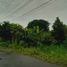  Land for sale in Yogyakarta, Kalasan, Sleman, Yogyakarta