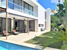 Maison 3 chambre à vendre à Conkal, Yucatan, Conkal