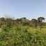  Land for rent in Merida, Yucatan, Merida, Yucatan