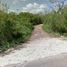  Land for sale in Ticul, Yucatan, Ticul
