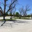  Land for sale in Torreon, Coahuila, Torreon