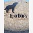  Land for sale in Torreon, Coahuila, Torreon