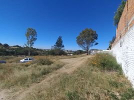  Land for sale in Aguascalientes, Aguascalientes, Aguascalientes, Aguascalientes