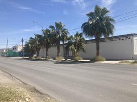 1,500 제곱미터입니다 Office for rent in Coahuila, 토레온, Coahuila