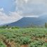  Terreno (Parcela) en venta en Bumiaji, East Jawa, Bumiaji