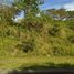  Terreno (Parcela) en venta en Cebu City, Central Visayas, Cebu City, Cebu, Central Visayas