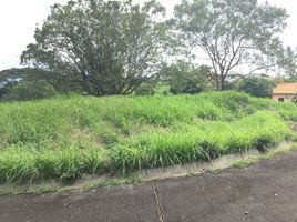  Land for sale in San Pedro City, Laguna, San Pedro City