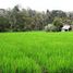  Land for sale in Tampak Siring, Gianyar, Tampak Siring