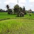  Land for sale in Tampak Siring, Gianyar, Tampak Siring