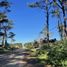  Land for sale in Villa Gesell, Buenos Aires, Villa Gesell