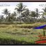  Terrain for sale in Tegallalang Rice Terrace, Tegallalang, Tegallalang