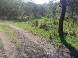  Land for sale in Colon, Cordoba, Colon