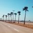  Grundstück zu verkaufen in Tijuana, Baja California, Tijuana