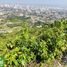  Land for sale in Central Visayas, Cebu City, Cebu, Central Visayas