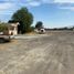  Land for rent in Abasolo, Guanajuato, Abasolo