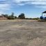  Land for rent in Abasolo, Guanajuato, Abasolo