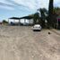  Land for rent in Abasolo, Guanajuato, Abasolo, Guanajuato