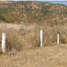 Terrain à vendre à Zapopan, Jalisco, Zapopan, Jalisco