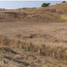 Terrain à vendre à Zapopan, Jalisco, Zapopan, Jalisco