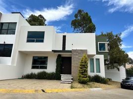 3 Habitación Apartamento en alquiler en Morelia, Michoacán, Morelia, Michoacán