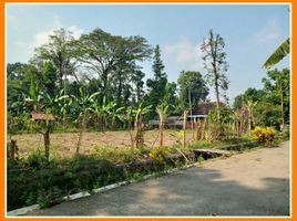 3 Bedroom Villa for sale in Prambanan, Klaten, Prambanan