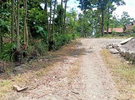  Land for sale in Sragen, Jawa Tengah, Gondang, Sragen