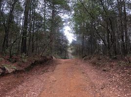  Land for sale in Huasca De Ocampo, Hidalgo, Huasca De Ocampo