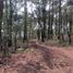  Land for sale in Huasca De Ocampo, Hidalgo, Huasca De Ocampo