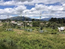  Land for sale in Puembo, Quito, Puembo