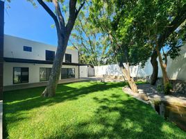 Studio House for sale in Cuernavaca, Morelos, Cuernavaca