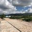  Land for sale in Allende, Guanajuato, Allende