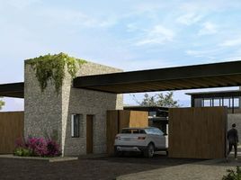 Land for sale in Allende, Guanajuato, Allende