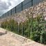  Land for sale in Allende, Guanajuato, Allende