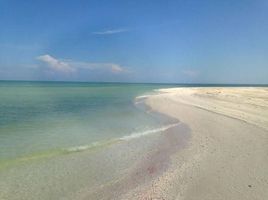  Grundstück zu verkaufen in Hunucma, Yucatan, Hunucma