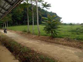  Land for sale in Bandung, West Jawa, Padalarang, Bandung