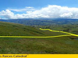  Land for sale in Canar, Honorato Vasquez Tambo Viejo, Canar, Canar