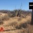  Land for sale in Juarez, Chihuahua, Juarez