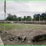  Land for sale in Yogyakarta, Seyegan, Sleman, Yogyakarta