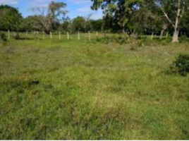  Land for sale in Tolima, Purificacion, Tolima