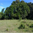  Land for sale in Tolima, Purificacion, Tolima