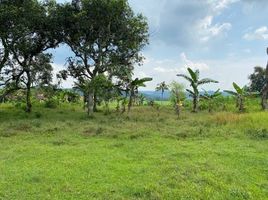  Land for sale in Cariu, Bogor, Cariu