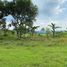 Land for sale in Cariu, West Jawa, Cariu