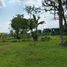  Land for sale in Cariu, Bogor, Cariu