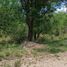  Land for sale in Punilla, Cordoba, Punilla