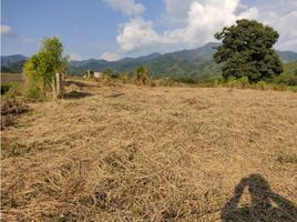  Land for sale in Dosquebradas, Risaralda, Dosquebradas